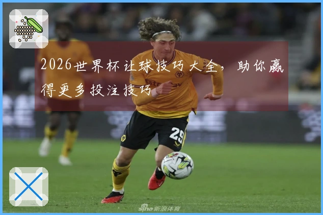 2026世界杯让球技巧大全，助你赢得更多投注技巧