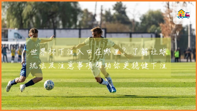 世界杯下注入口在哪里？了解让球玩法及注意事项帮助你更稳健下注