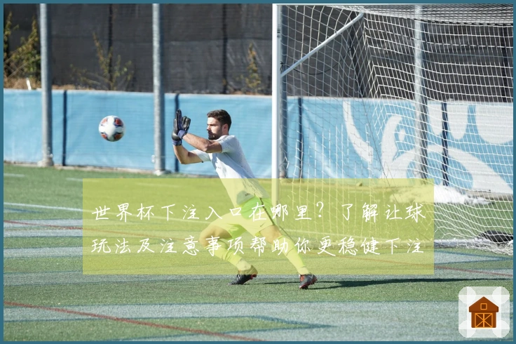 世界杯下注入口在哪里？了解让球玩法及注意事项帮助你更稳健下注