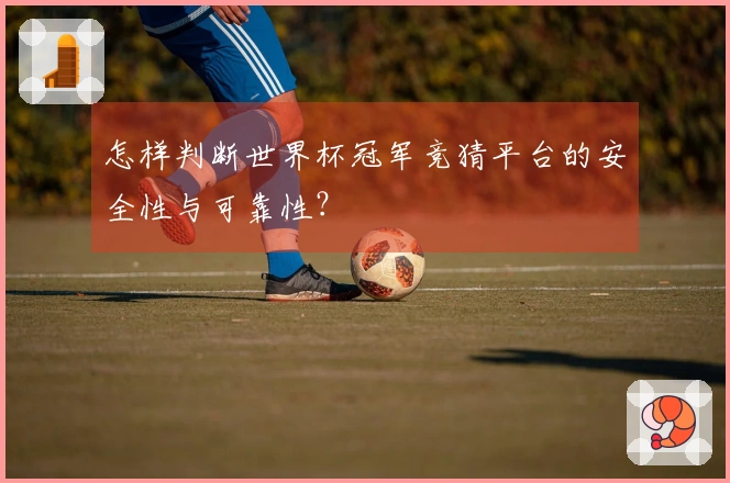 怎样判断世界杯冠军竞猜平台的安全性与可靠性？